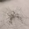 Baggy Cinch Spider Grafik Hoodie