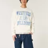 Baggy Denim-Malershorts