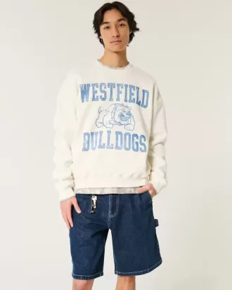 Baggy Denim-Malershorts
