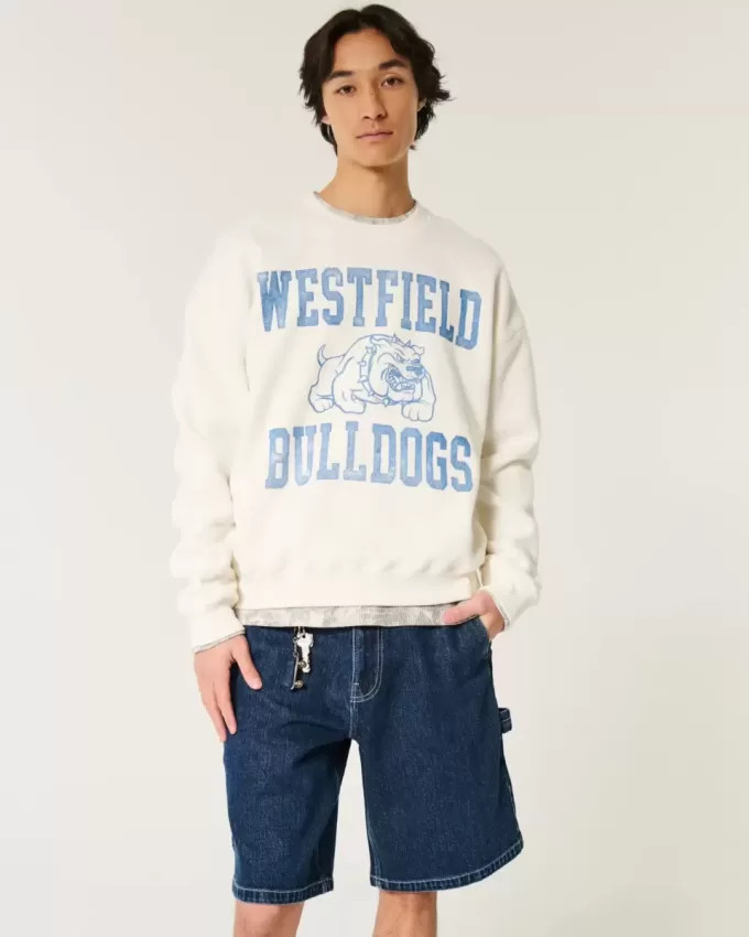 Baggy Denim-Malershorts
