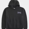 Boxy University of Washington Huskies Grafik-Hoodie