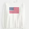 Hollister – Comfy Cloud – Rundhalspullover mit amerikanischer Flaggengrafik